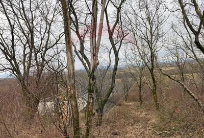 Teren în Central - 13