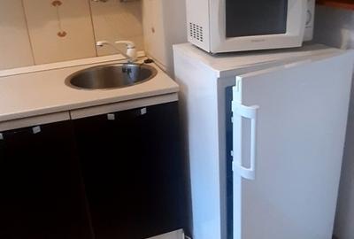 Tineretului, parc, metrou - 3