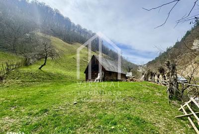 Teren de 12167 mp, în Câineni - 3