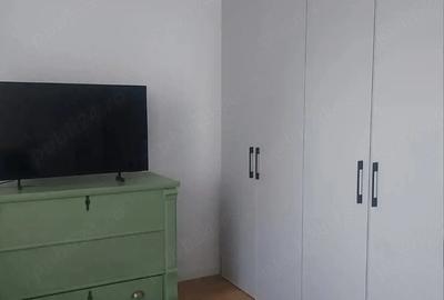Garsonieră decomandată în Remetea Mare - 3