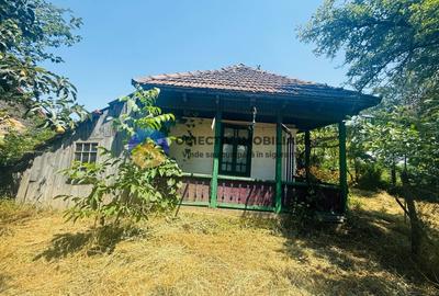 Casuta cu istorie ideala pentru iubitorii de autentic - 20