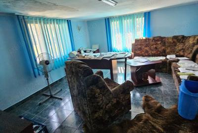 Spațiu comercial, de 350 mp, în Iacobeni - 6