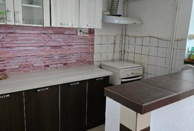 Apartament cu 2 camere decomandat în Remetea Mare - 5
