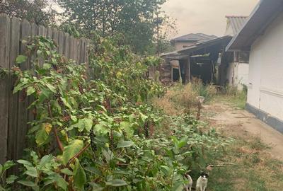 Vanzare  Casa  cu teren 1400mp  Voluntari - 4