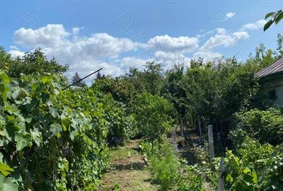 Casa de vanzare ! Casa de vanzare ! - 4