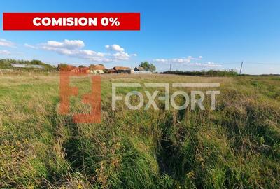 Comision 0% Teren intravilan de 3346 mp cu 2 fronturi - Jebel - 6