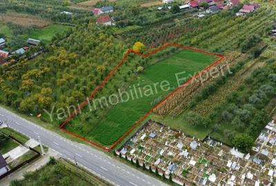 Teren de 2619 mp, în Oeștii Pământeni