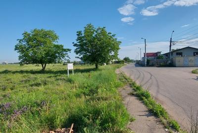 Teren Construcții intravilan de 1666 mp, în Zețarilor - 7