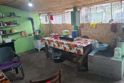Casă cu Teren 3000 Mp în Căscioarele - 5
