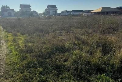 Spațiu comercial, în Măgurele - 3