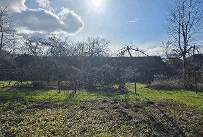 Casă cu 3 camere cu Teren 2500 Mp în Pietroasa - 12