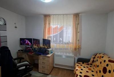 Casa doua camere plus garaj, Mosoaia, Hintesti, 6 km de Pitesti - 3