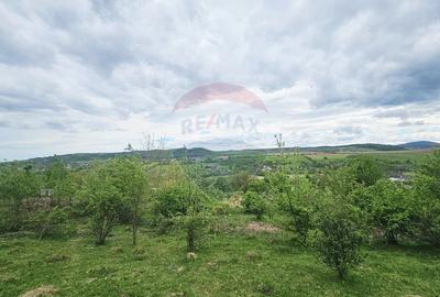 Teren Construcții intravilan de 5350 mp, în Dobreni - 8