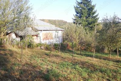 Casă cu 3 camere cu Teren 25000 Mp în Călinești - 3