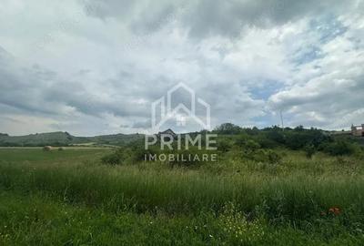 Teren de 1493 mp, în Teleac - 1