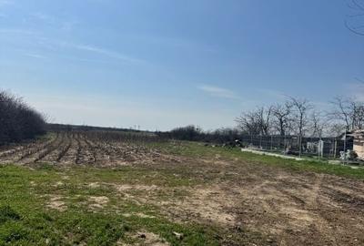 Teren Construcții intravilan de 3544 mp, în Buturugeni - 2