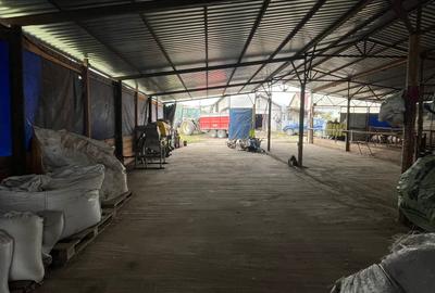 Teren Construcții intravilan de 6500 mp, în Frata - 3