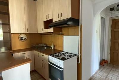 Vanzare apartament 2/3 camere Teiul Doamnei, cu centrala - 7