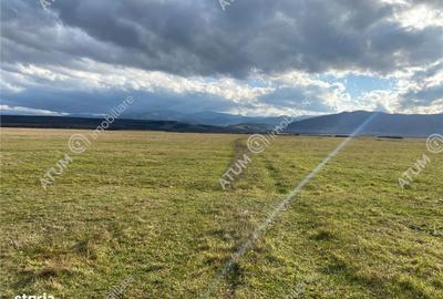 Spațiu comercial, în Cristian - 5