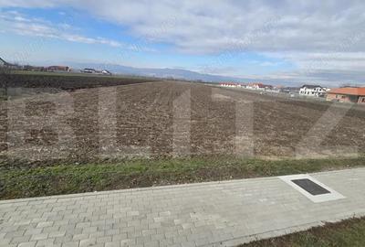 Teren de 14300 mp, în Ciugud - 6