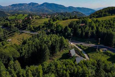 Spațiu comercial, de 300 mp, în Central - 5