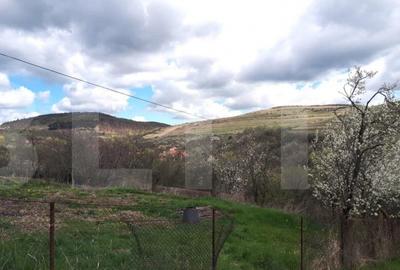 Teren de 800 mp, în Ciurila - 7