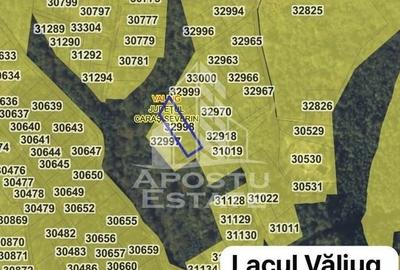 Teren Construcții intravilan de 2000 mp, în Văliug - 9