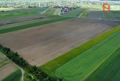 COMISION 0% Teren intravilan 40.600 mp cu front de 84,5 ml, zona Bucovat - 6