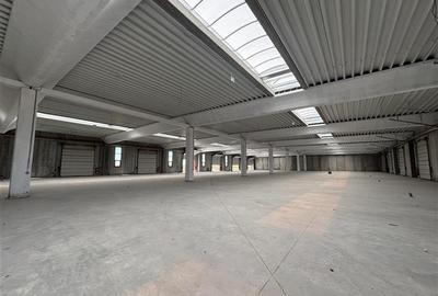 Inchiriere depozit/spatiu industrial/hala Chitila - Rudeni, ILFOV - 6