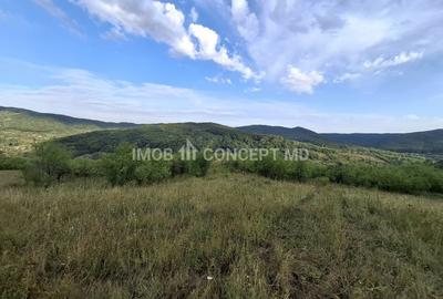 Teren spectaculos cu padure, livada si priveliste panoramica in Soimari PH - 2