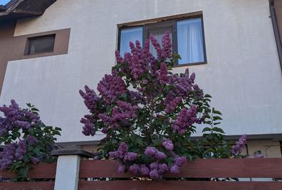 Casă cu 3 camere în Berceni - 2