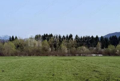 Teren de 7838 mp, în Zărnești - 5