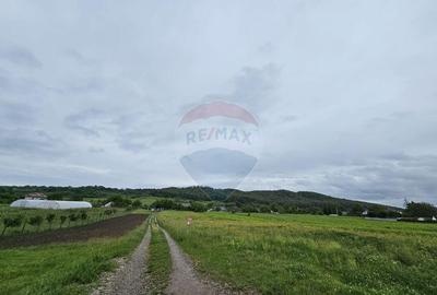 Teren 1,495mp Dobreni / Strada Parau Almas - 16