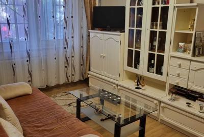 Apartament cu 2 camere semidecomandat în Bejan - 5