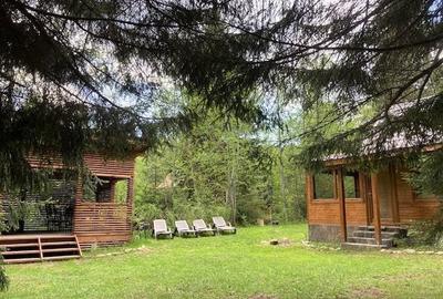 Casă cu 4 camere cu Teren 1365 Mp în Borzont - 5