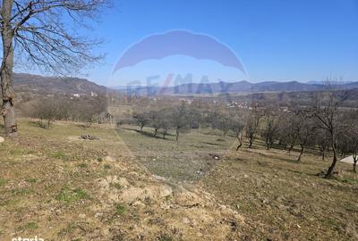 Spațiu comercial, în Bârsana - 1