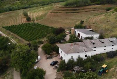 Teren extravilan de 230000 mp, în Vernești - 4