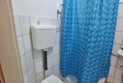 Apartament, 1 camera, parter, zona Balcescu - 4