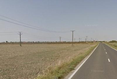 Teren 20000 mp intre Mosnita Veche si Bucovat - ID V4317 Teren 20000 mp intre Mosnita Veche si Bucovat - ID V4317 - 2