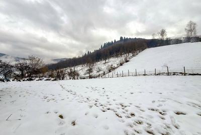 Spațiu comercial, în Rășinari - 3