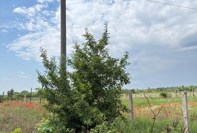 Teren agricol intravilan de 3450 mp, în Giulești Sârbi - 3