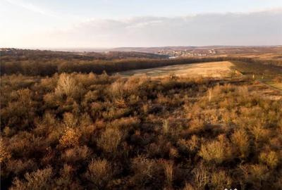 Teren în Săldăbagiu de Munte - 5