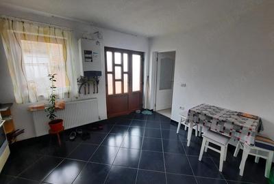 Casă cu 1 camere cu Teren 1500 Mp în Aradul Nou - 4