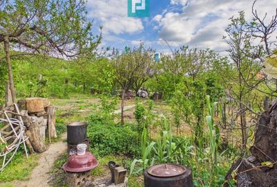 Casă individuală cu 3 camere cu Canalizare în Drauț - 14