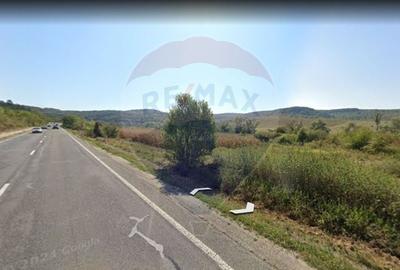 Teren de vanzare  11.698 mp , Sancraiu Almasului/Salaj - - 5