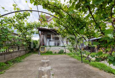 Casa de vanzare cu 4 dormitoare 2 bai si pivinita in Selimba - 2