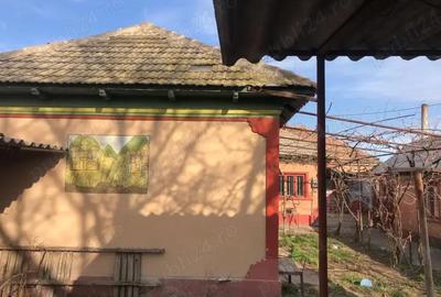 Casă cu 6 camere în Lumina - 8
