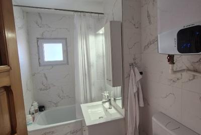 Apartament cu 3 camere semidecomandat, mobilat în Brazda lui Novac - 4