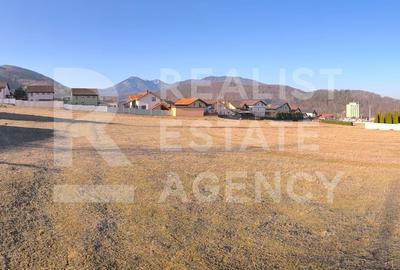 Teren de vânzare în Săcele, zona Baciu - 650m2 - 4