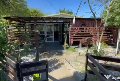 Casă cu 8 camere cu Teren 5000 Mp în Malu Mare - 6